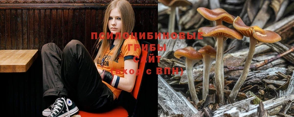 прущие крисы Абдулино