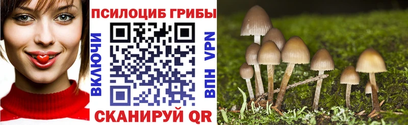 где найти Нягань Псилоцибиновые грибы ЛСД